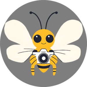 social bee - social media management, planung und shooting