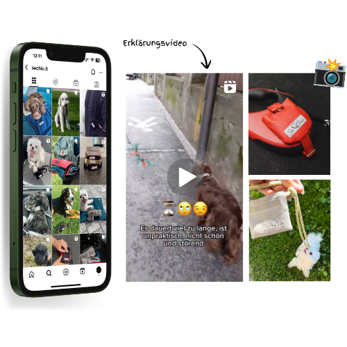 sechic social media erklärungsvideos deutsch